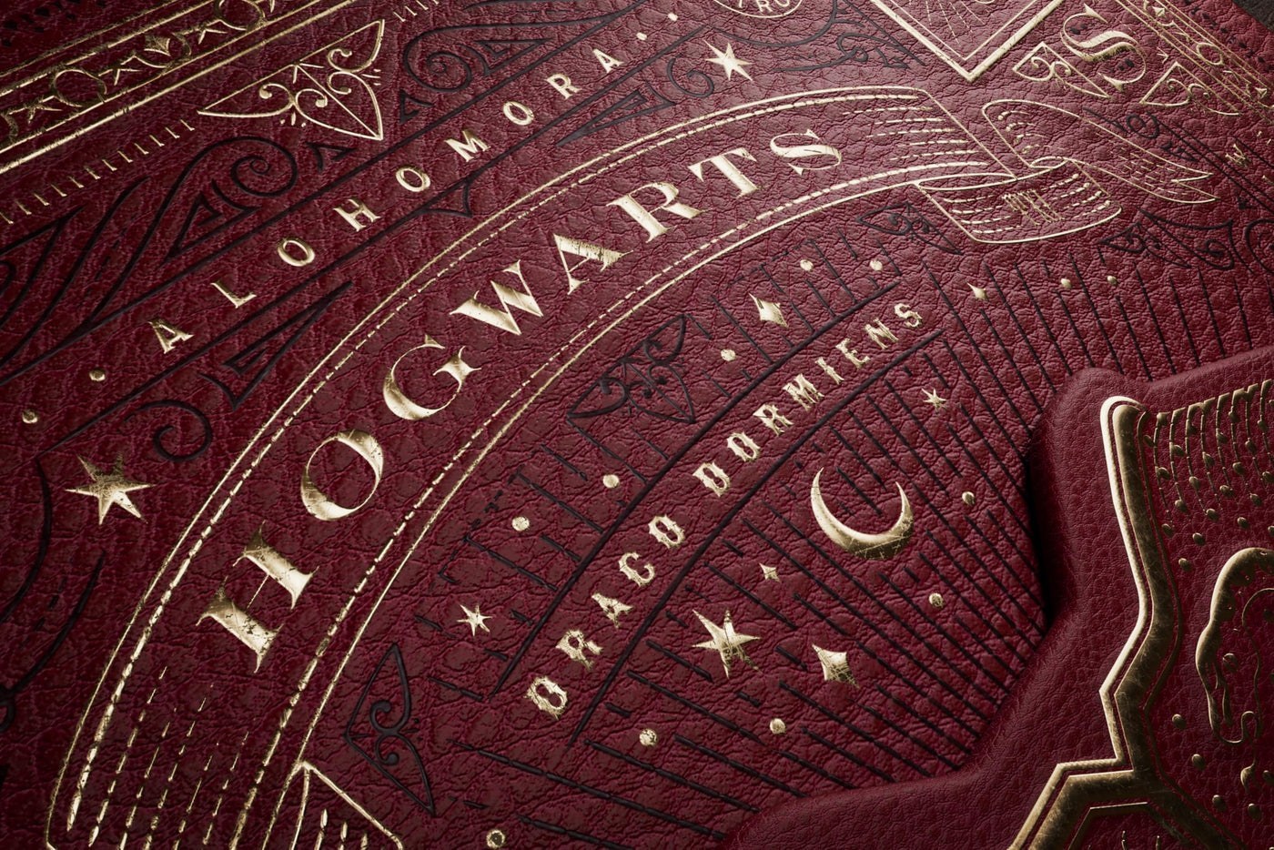 Harry Potter Box Set - 5 Decks