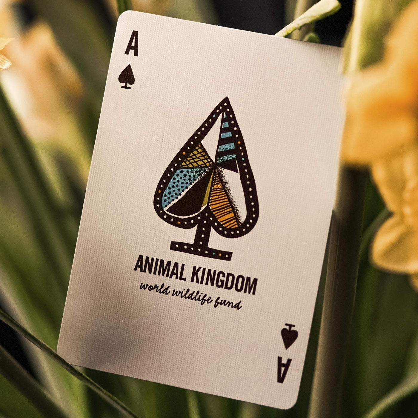Animal Kingdom Playing Cards